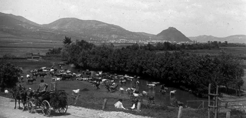 Deva anului 1908. ARHIVĂ