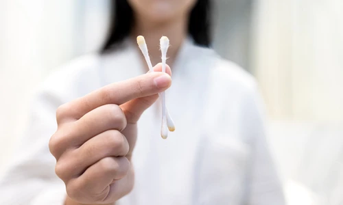 shutterstock 1805822233 jpg