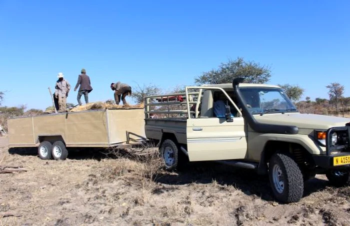 tanar voluntar alba Namibia