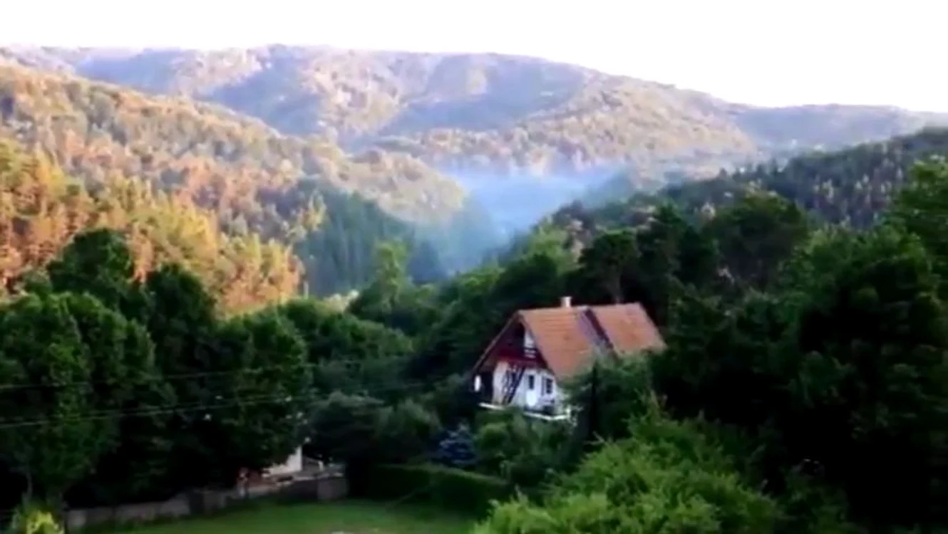 Acestea sunt meleagurile pe care poposesc zimbrii de la Armeniș