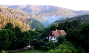 Acestea sunt meleagurile pe care poposesc zimbrii de la Armeniș jpeg