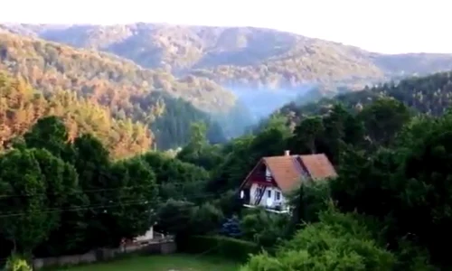 Acestea sunt meleagurile pe care poposesc zimbrii de la Armeniș jpeg