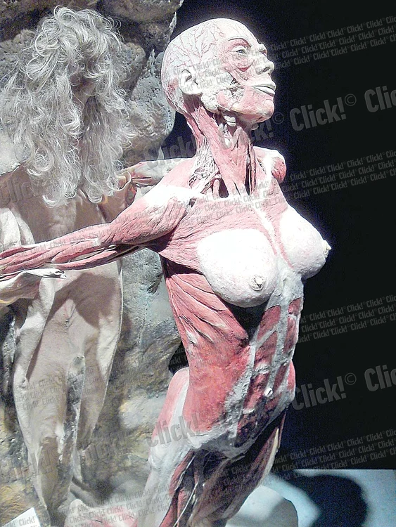 Trupurile umane înfăţişează chiar şi scene înfăţişate interzise minorilor (Fotografii: reuters / Dorin Constanda)