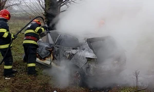 WhatsApp Image 2025 12 13 at 13 46 47 a0ad92fe jpg