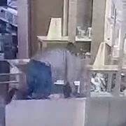 A sărit peste vitrine și a atacat o pe vânzătoare Foto Captură video Opinia Timișoarei jpg