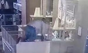 A sărit peste vitrine și a atacat o pe vânzătoare Foto Captură video Opinia Timișoarei jpg