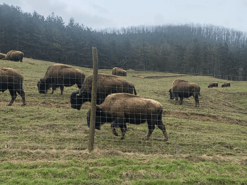  21 de noi localități au fost atestate ca zone cu resurse turistice. Clujul, în top