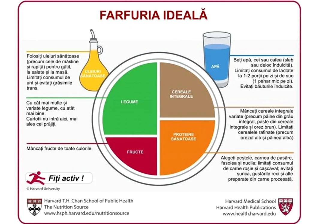 Ce trebuie să conțină  farfuria Ideală. FOTO Harvard Health Publication