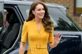 Kate Middleton silueta getty jpg