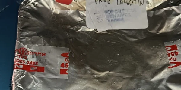 mesaje pentru evrei „free palestine” foto DAIA jpg