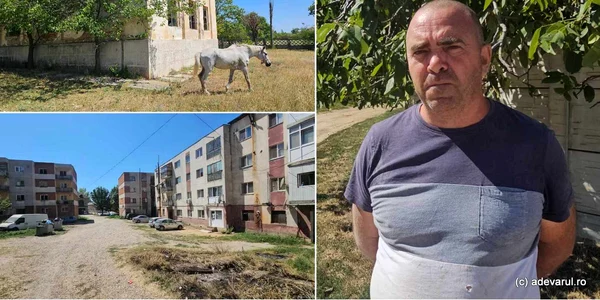 Comuna Plenița  Foto Daniel Guță ADEVĂRUL jpg