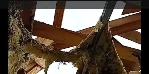 TORNADA TULUCESTIII jpg