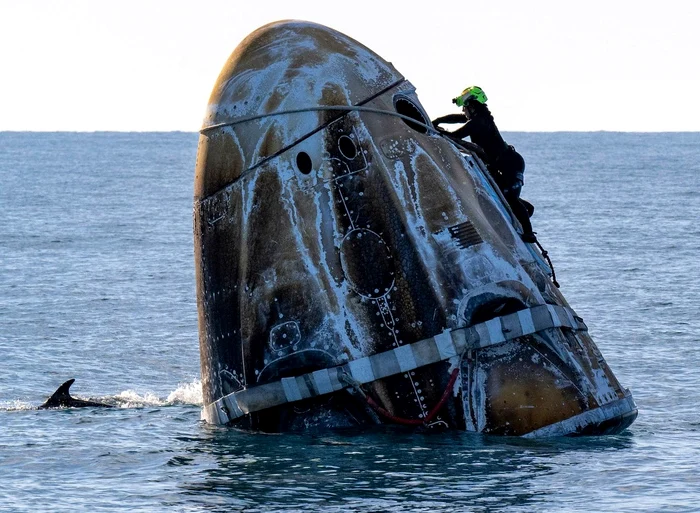 Delfinii curioși au înconjurat capsula (Foto: Profimedia)