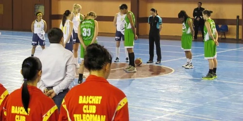 csbt Alexandria