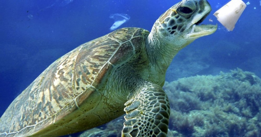 UE va cheltui 3,5 miliarde de euro pentru protejarea oceanelor