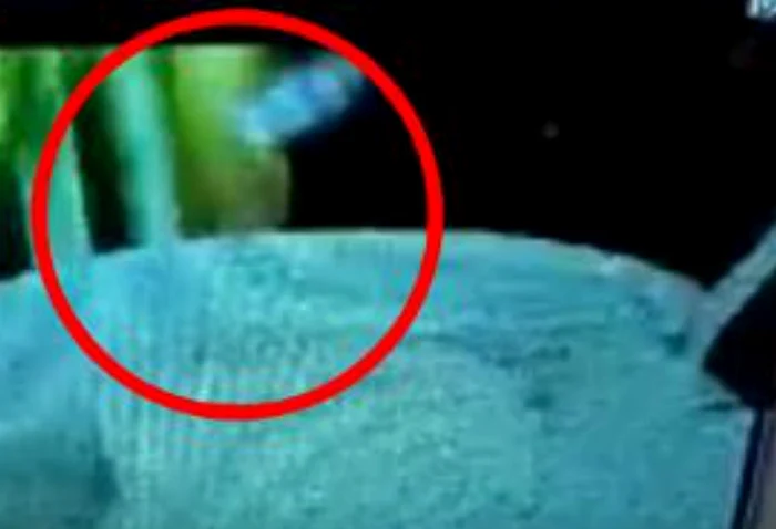 
    Murphy și Snowdon n-o mai lasă de acum înainte pe micuța Rosie nesupravegheatăfoto: mirror.co.uk  