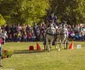 14 karpathia horse show 2018 14 jpg jpeg