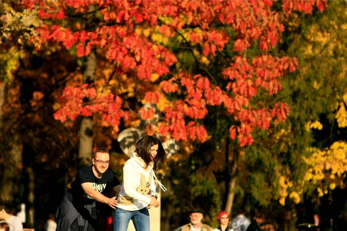 Toamna în Bucureşti 1