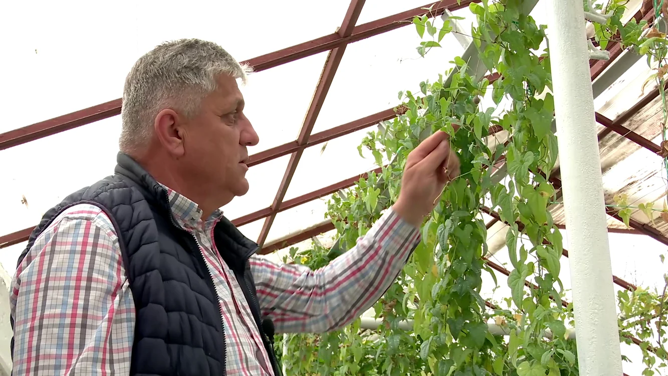 Costel Vânătoru, directorul Băncii de Resurse Genetice Vegetale Buzău FOTO I.B.