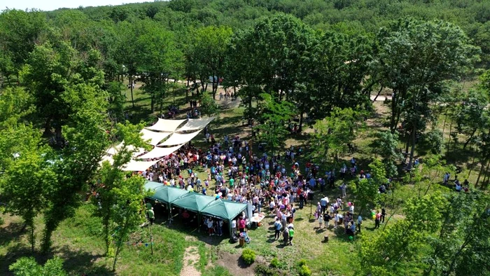Parcul de Aventură are o suprafață de opt hectare FOTO: CJ Galați