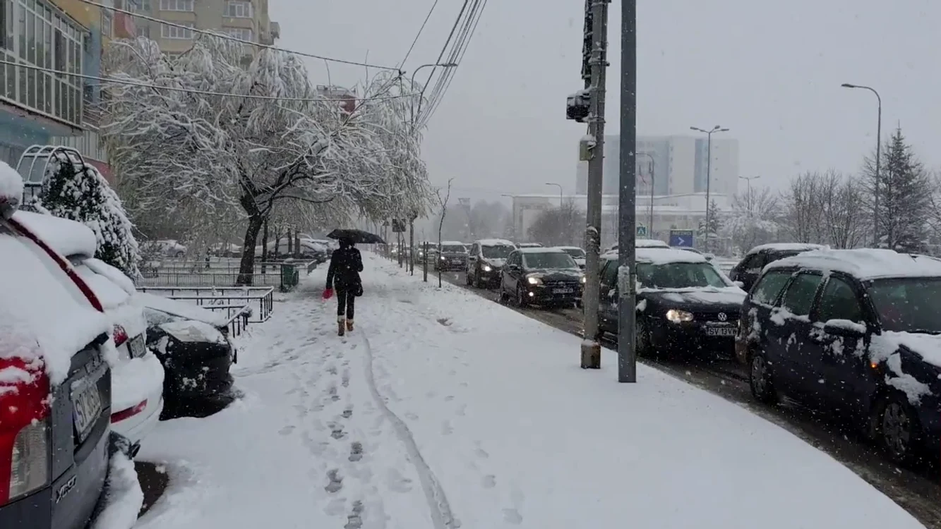 Primăvara la Suceava FOTO: Alina Iosif 