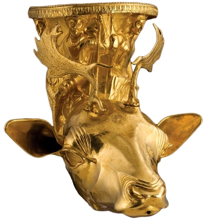 rhyton poroina 5 jpg jpeg