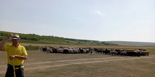 seceta draguseni (3) jpg