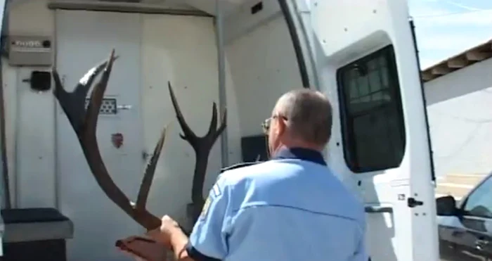 Trofeul de cerb a fost ridicat de poliţişti