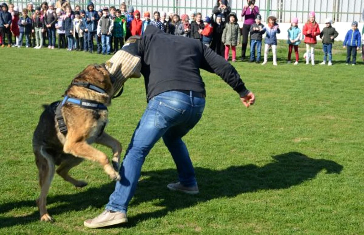 Foto: IJJ Galaţi