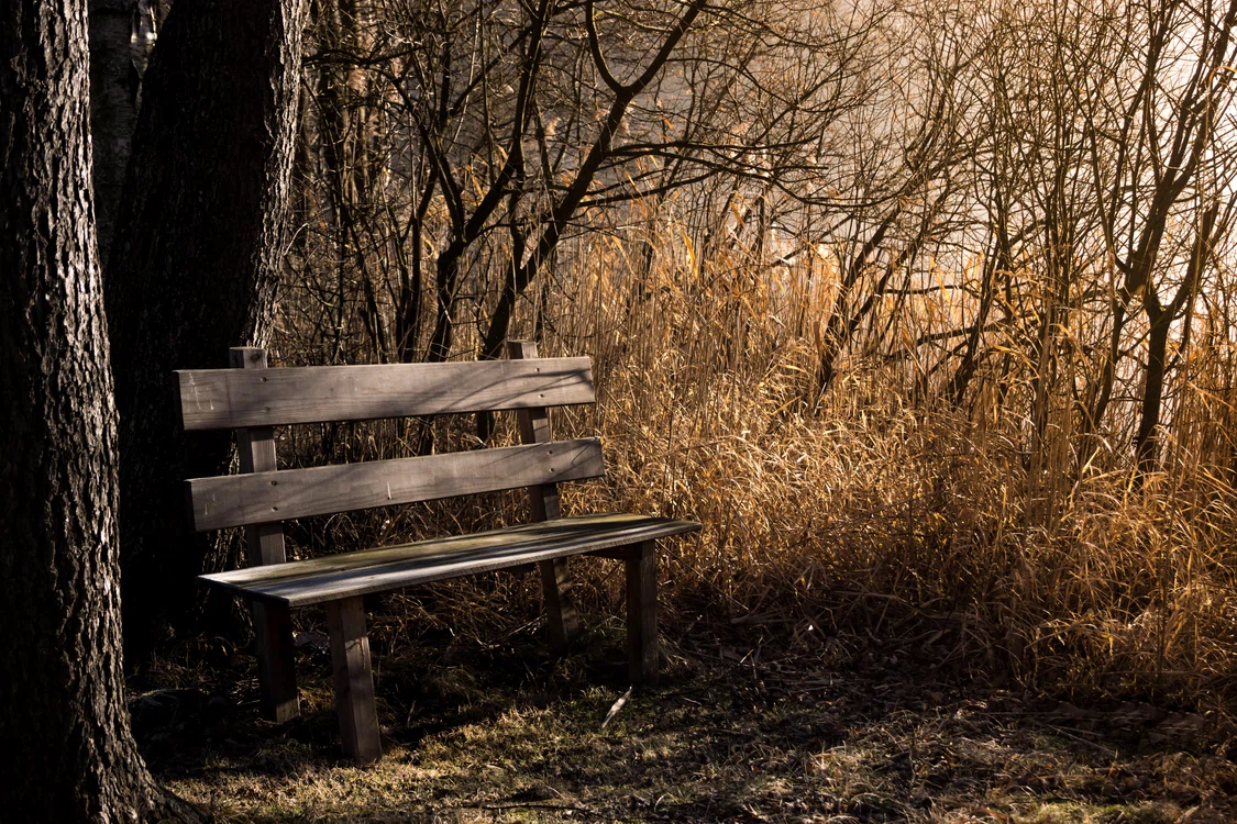 Banii au fost găsiți pe o bancă în parc / foto: Pixabay