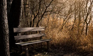 biancamentil bench 1190768 jpg