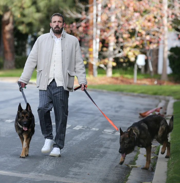Ben Affleck și a luat al doilea câine de pază, Foto Profimedia (1) jpg