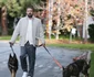 Ben Affleck și a luat al doilea câine de pază, Foto Profimedia