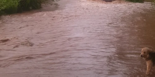 inundatii Covasna 1, foto ISU Covasna jpg