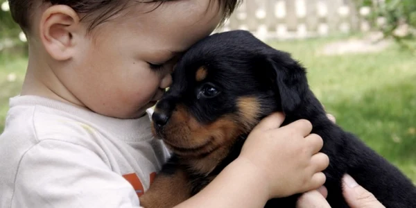 Un animal de companie îi ajută pe copii să dezolte abilităţi sociale puternice