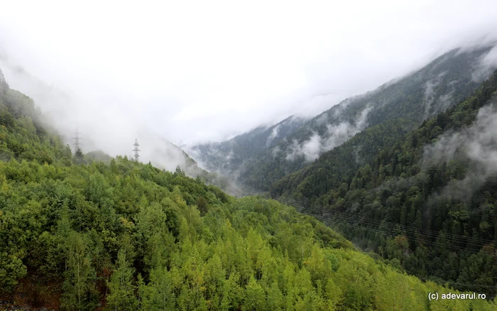 Retezat. Foto: Daniel Guță. ADEVĂRUL
