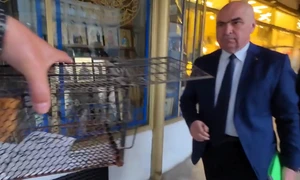 Marian Ceaușescu l-a urmărit pe Ilie Bolojan cu o cușcă de sobolani