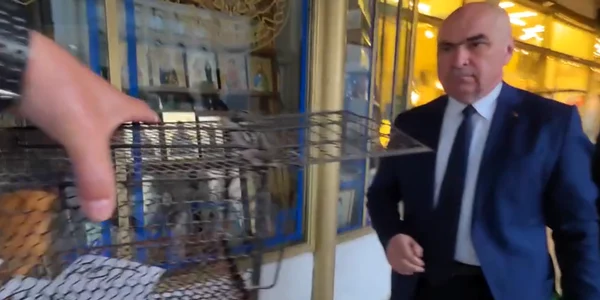 Marian Ceaușescu l-a urmărit pe Ilie Bolojan cu o cușcă de sobolani