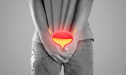 shutterstock 2087141053 jpg