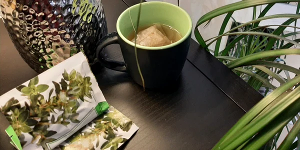 plante 1 jpeg