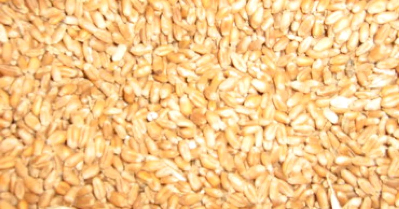 Oradea: Prețuri medii mai mici pentru produsele agricole