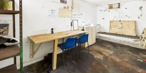 dae028b0 b8cf 11f0 a7ec e75111ff7579 png webp