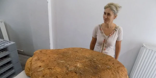 paine secuiasca