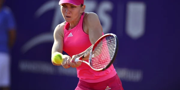 simona halep monica niculescu FOTO Mediafax