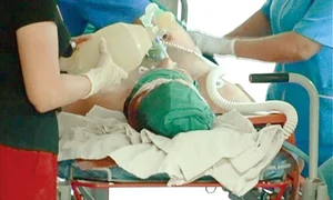 8 act baza ciocan jpeg