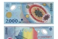 bancnota cu Elipsa totala de Soare din 1999 FOTO casacumonede ro jpg