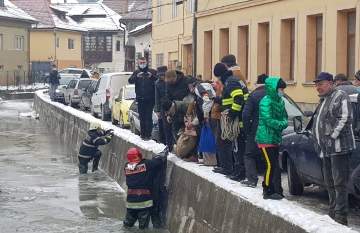 caprioara salvare apuseni