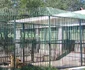 gradina zoo slatina