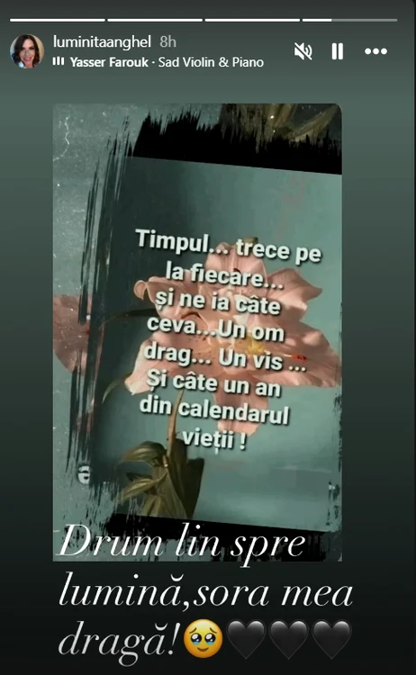 Postarea Luminiței Anghel. Foto: Instagram