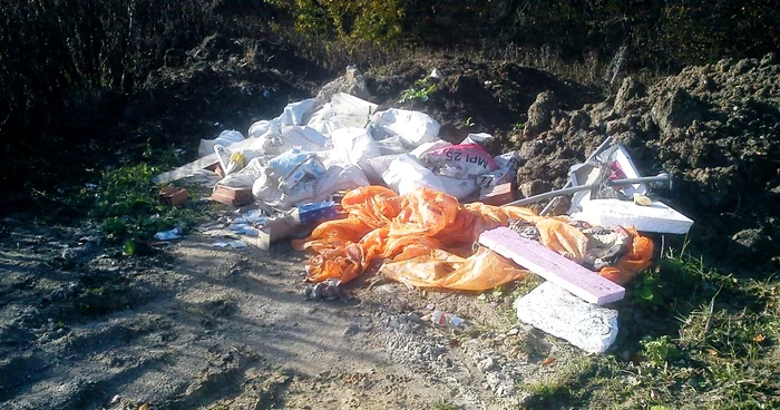 Făget padure cluj